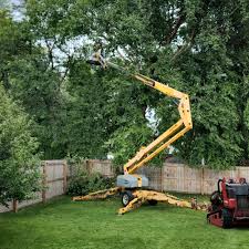 Best Lawn Pest Prevention  in Gulf Shores, AL